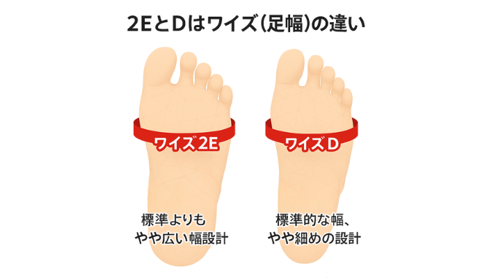 2EとDはワイズ（足幅）の違い：４図解