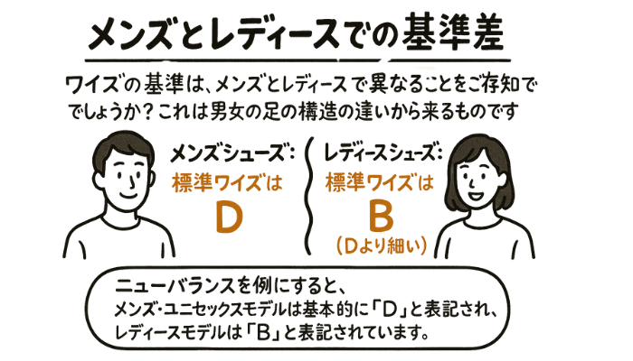 メンズとレディースでの基準差：図解
